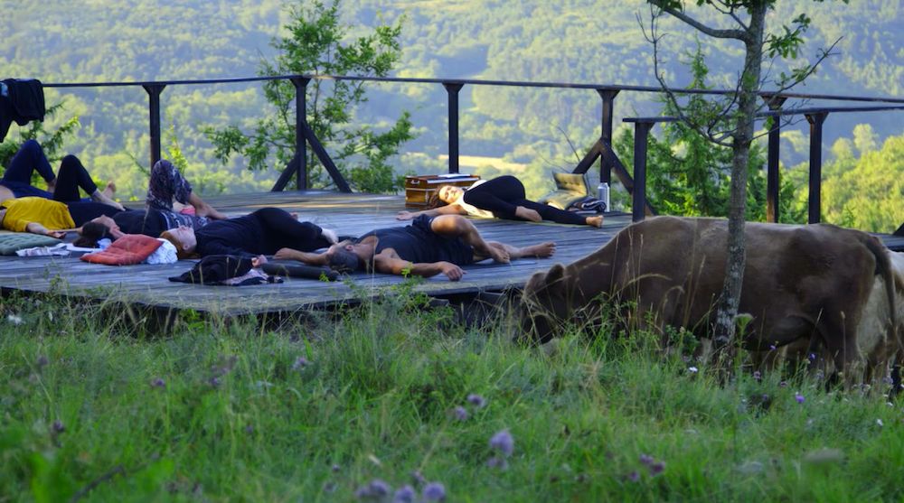 BBC--Secret-Life-of-Farm-Animals--S1.-E2.