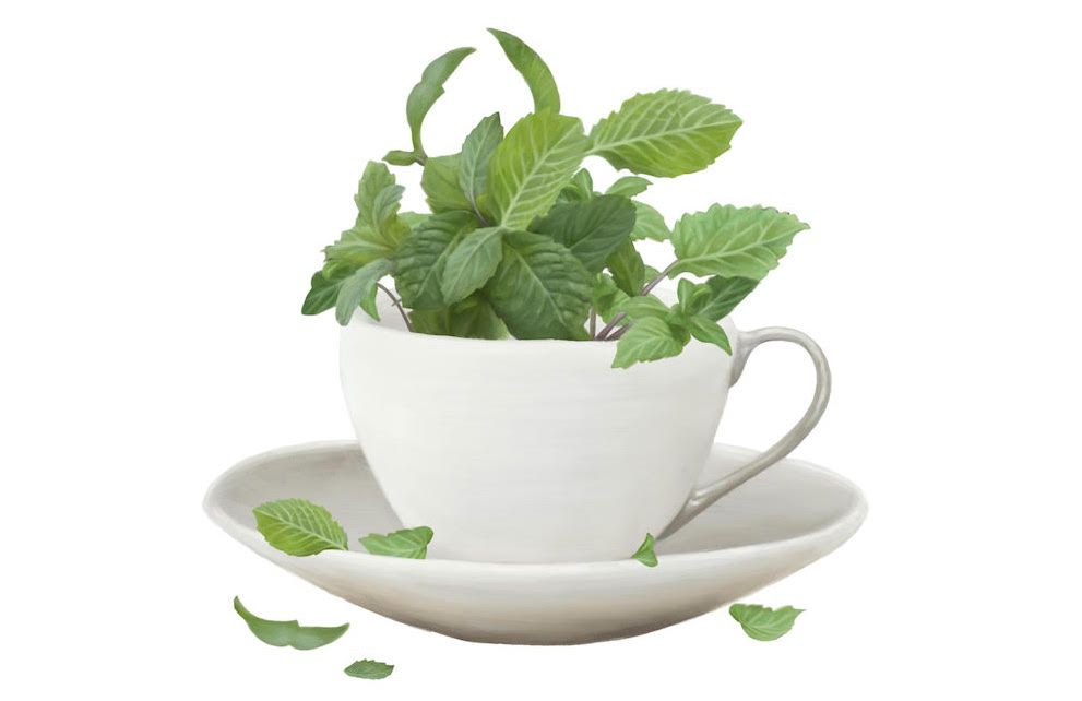 BJohnston_peppermint_happiful_may21-1