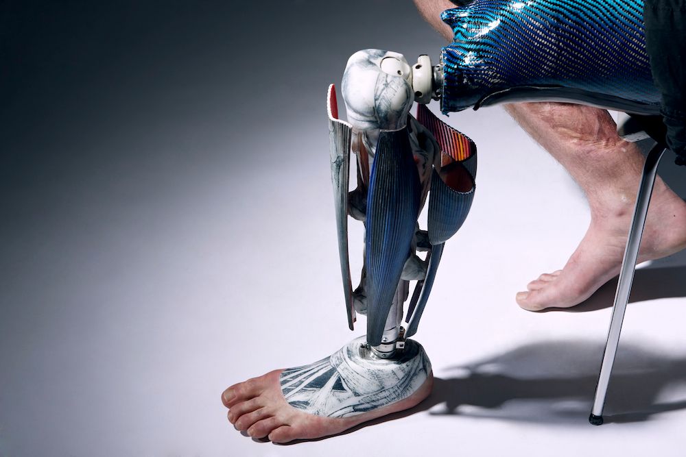 Anatomical-leg-1----Omkaar-Kotedia-1