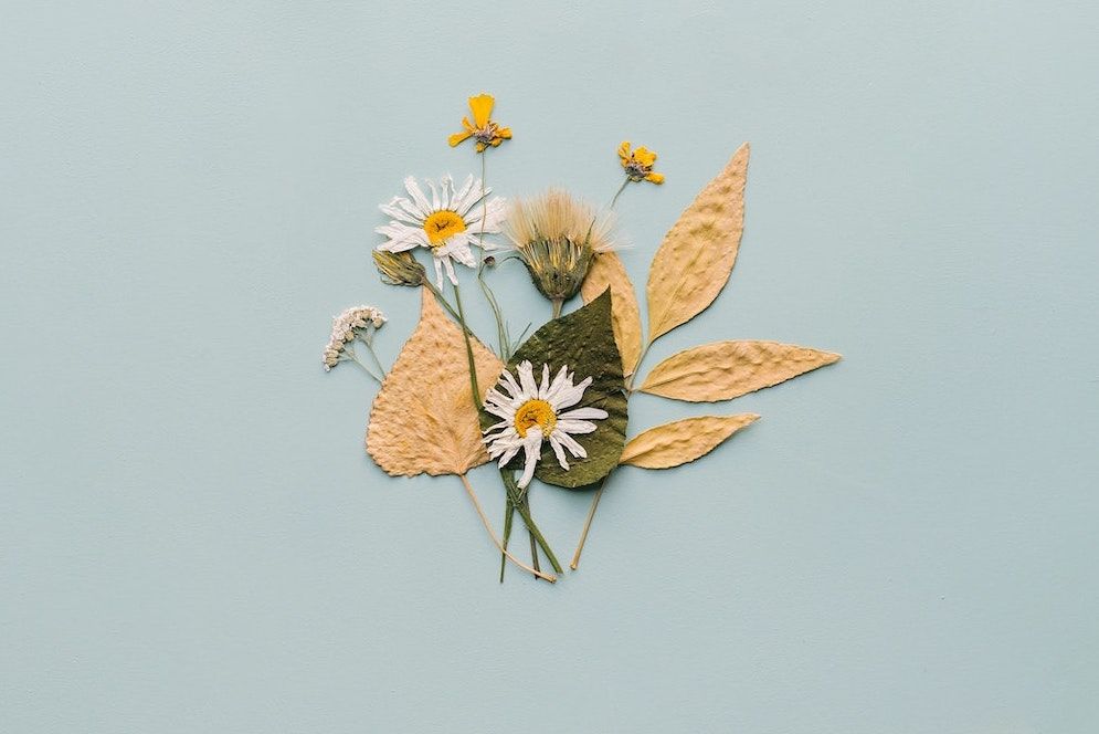 cary-bates-8lGVmnzv15o-unsplash