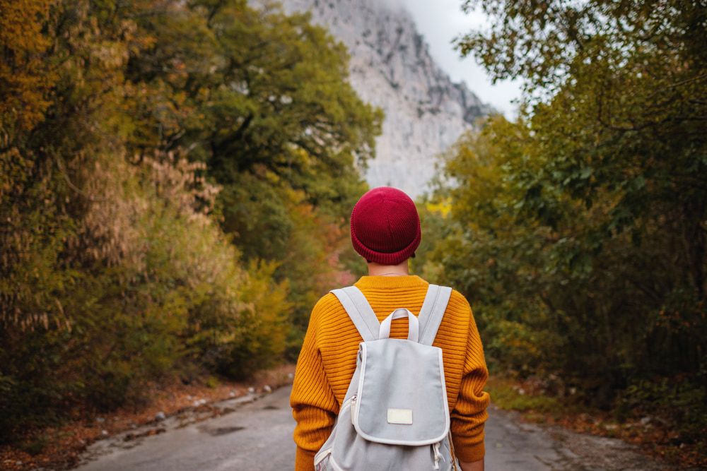 person walking through a forest