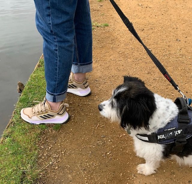 Lucy-and-Zac-morning-walk