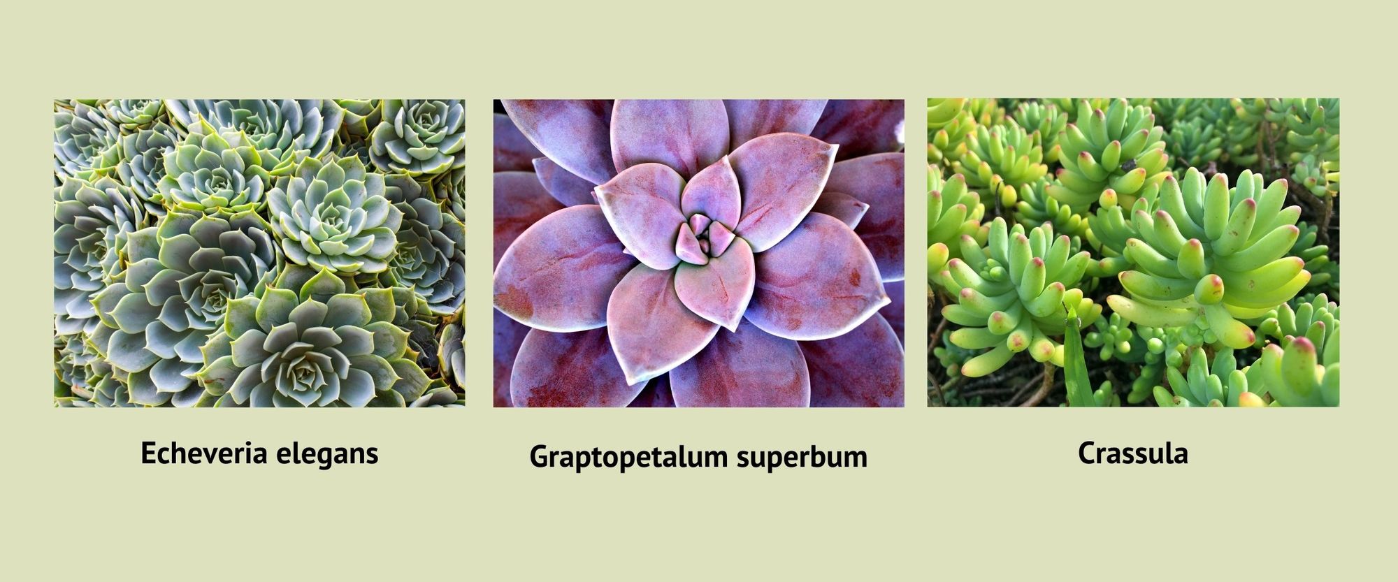 Ghost-template-Design--4--3