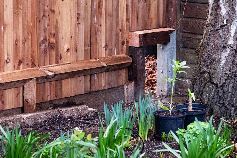 shutterstock_2128818632 (1).jpg