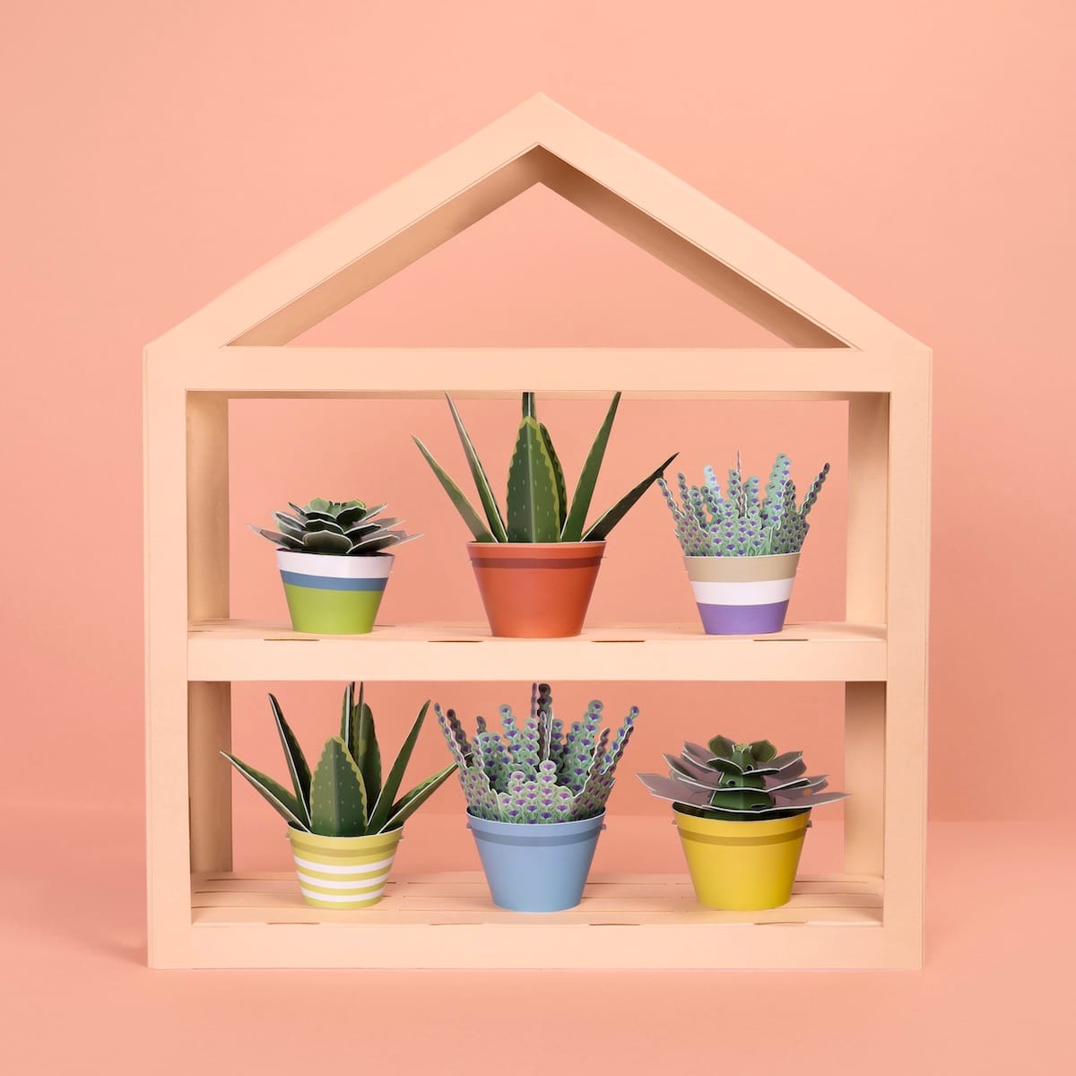 Mini Paper Plant Kit__Lifestyle_Green house_Clockwork Soldier_clockworksoldier co uk (1).jpg