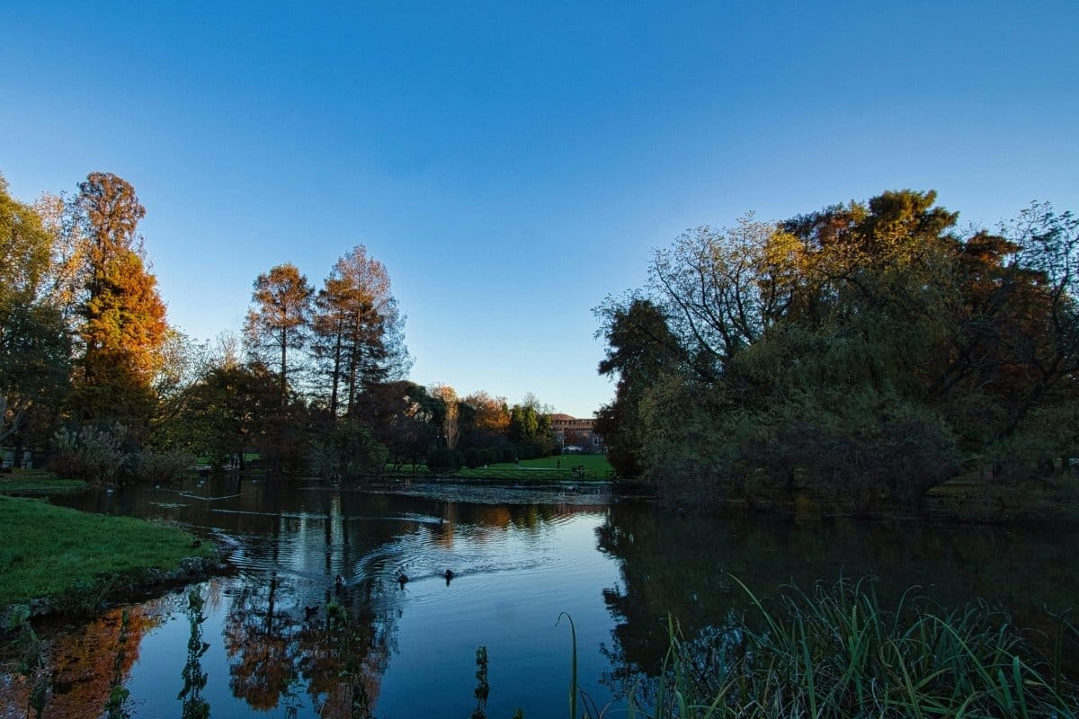 Untitled design (2).jpg