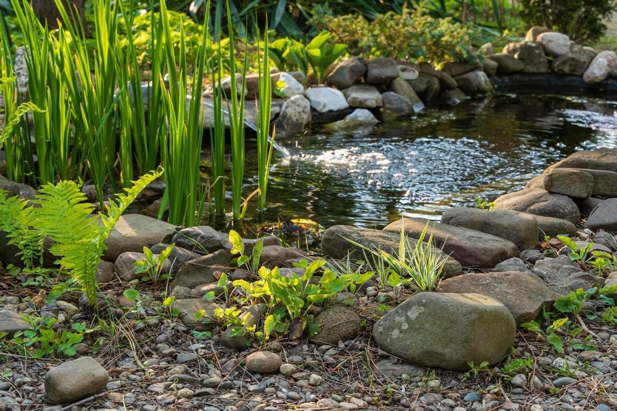 Ghost header images (1).jpg