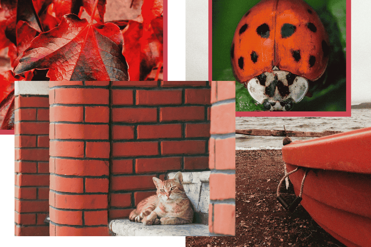 Ghost header images (10).png