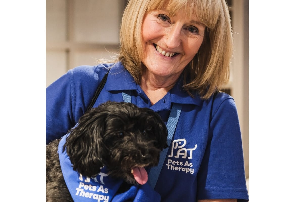 Ghost header images (12) copy 7.jpg