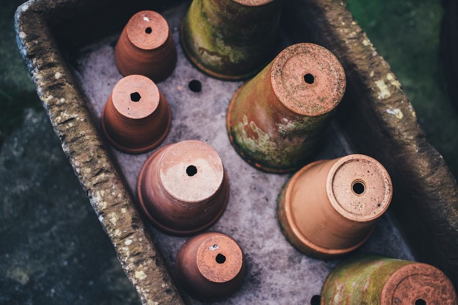 Four Ways Gardening Can Help You Flourish