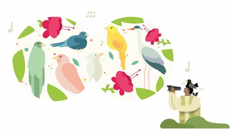 The Benefits of Birding