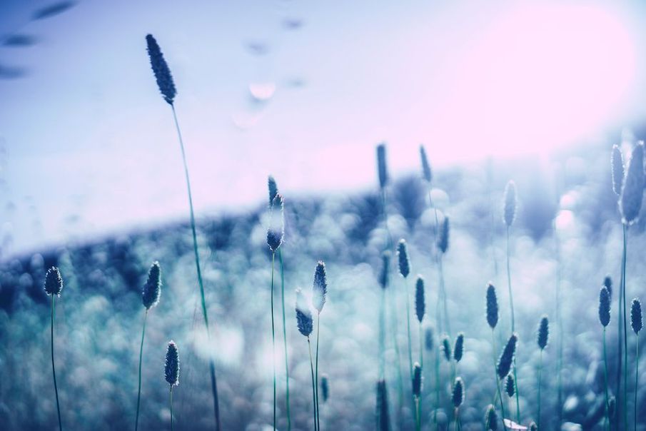 10 Steps to Finding Your Zen