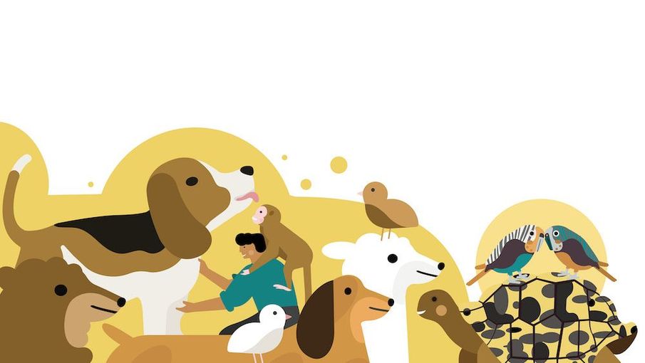 5 Wellbeing Benefits of Pets