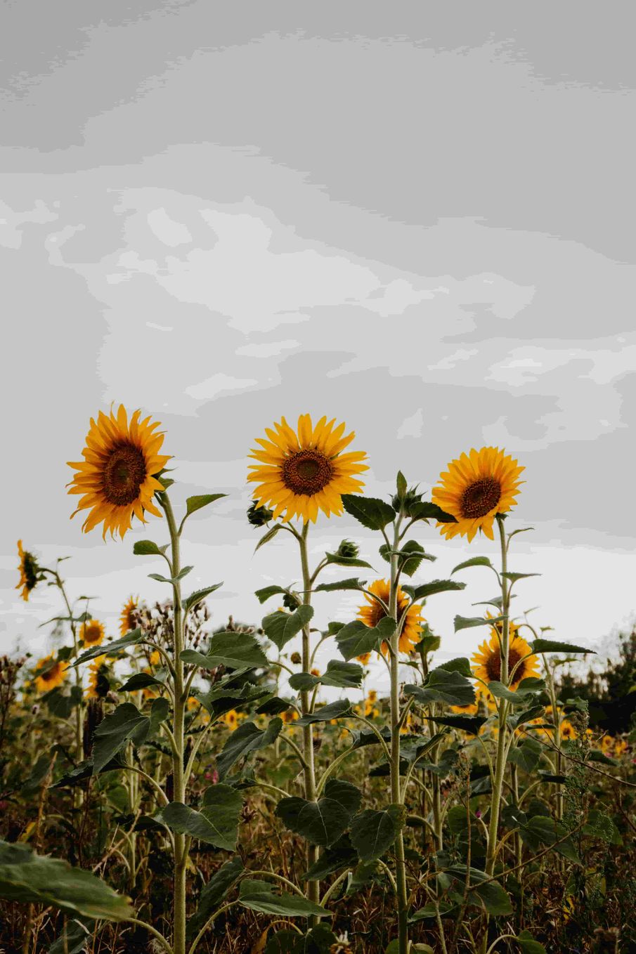 The Great, the Good and the Ugly: In the News this Weekend