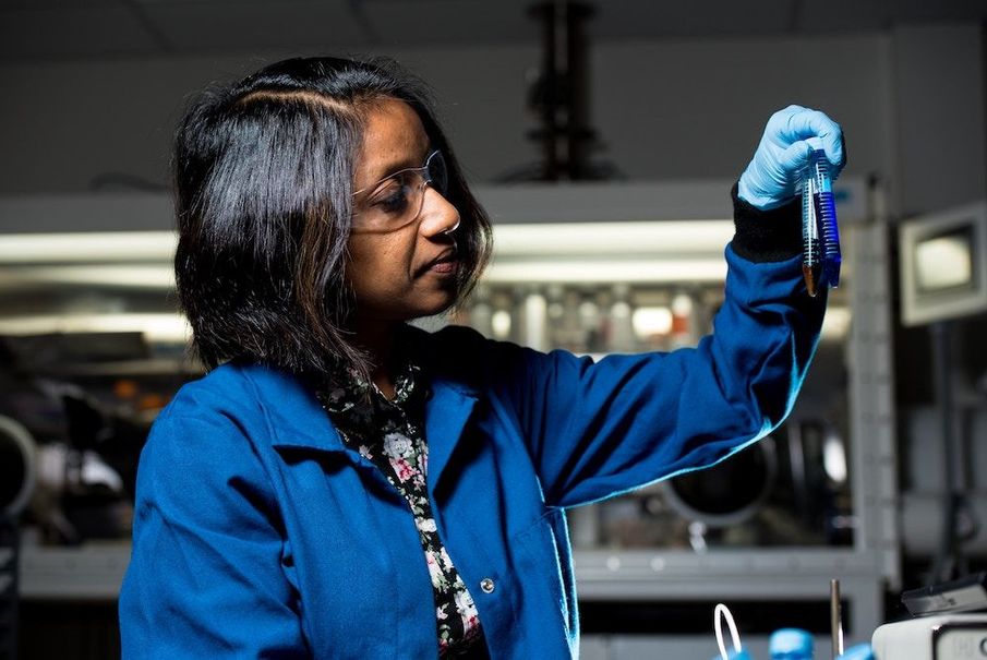 Eight Women in Science to Follow Right Now