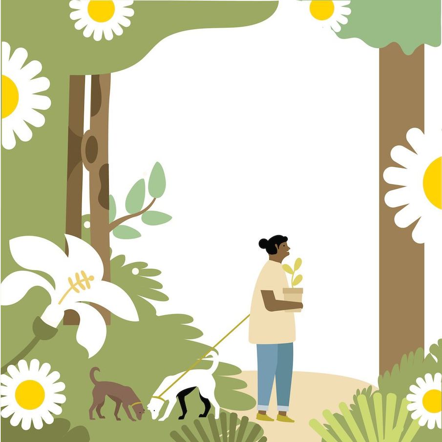 5 wellbeing benefits of forest bathing