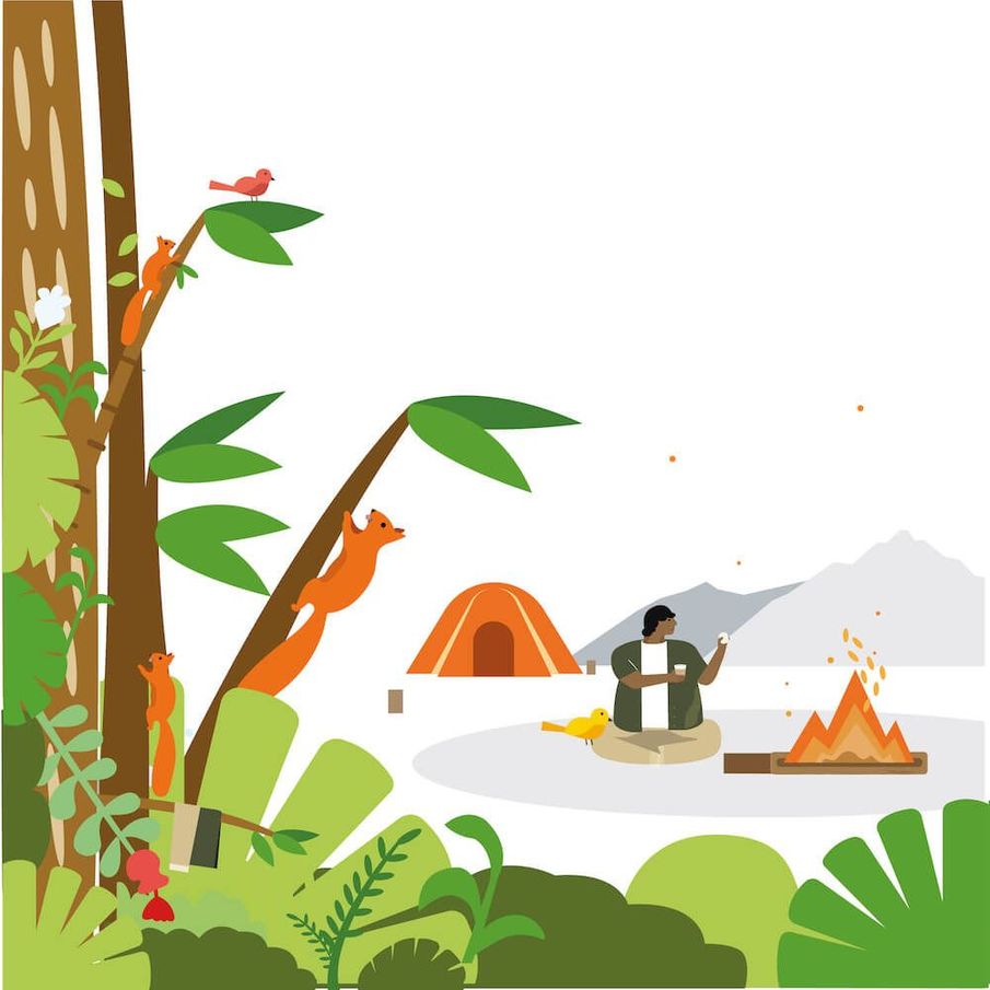 What is friluftsliv?