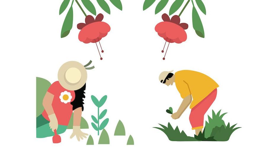 How to create a mindful garden