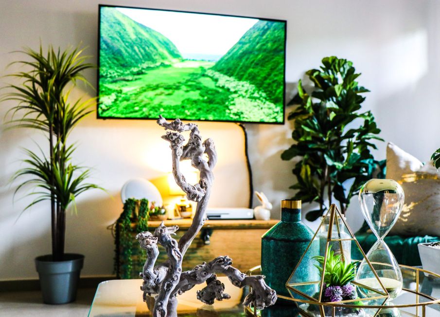 Watching nature documentaries boosts wellbeing, study finds