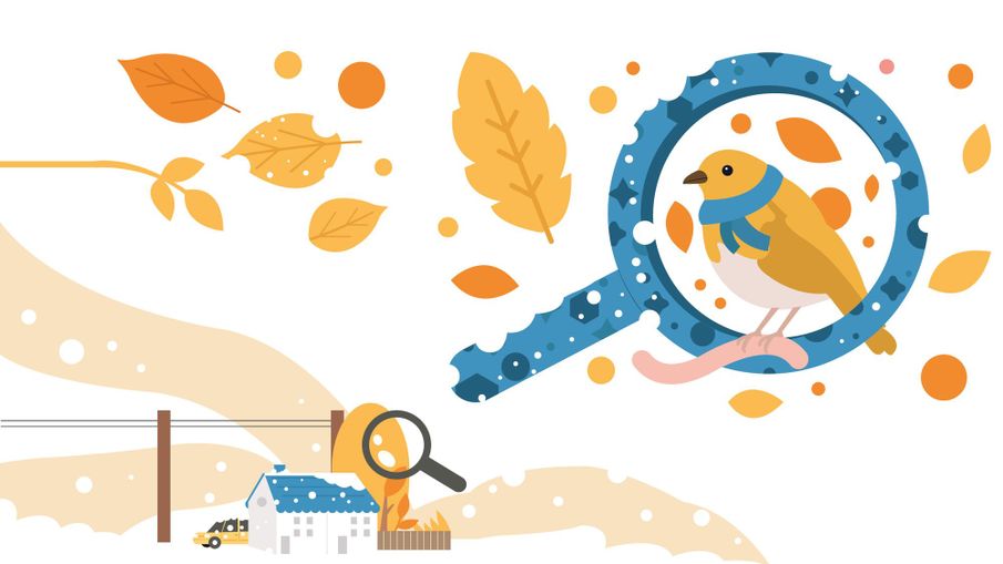 Connect with nature close to home