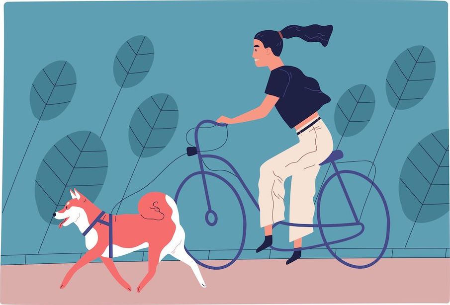 How to build a healthy relationship 
with exercise