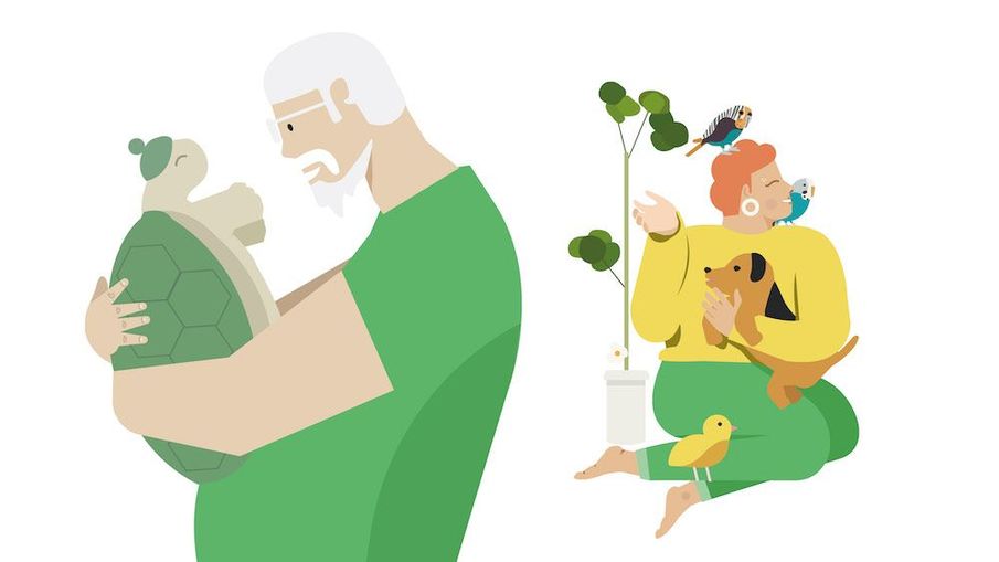 Animal magic: the life-enhancing power of pets