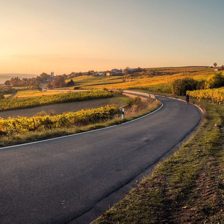 The road to recovery