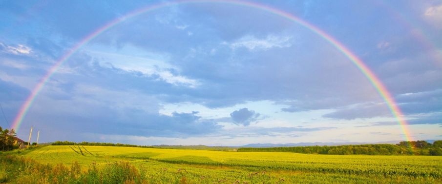 How to use colour therapy to embrace the outdoors