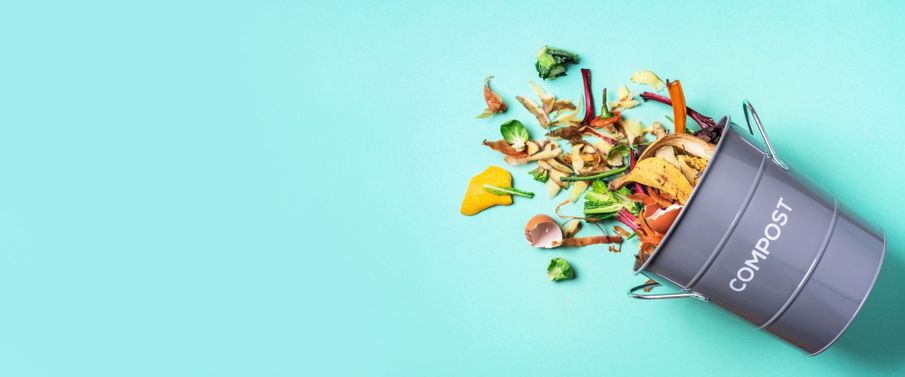 Talking trash: an ultimate guide to composting for beginners looking to help the planet