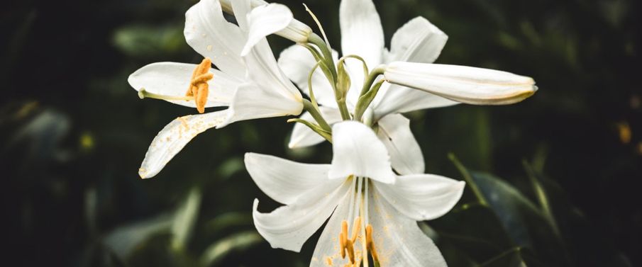 Suicide: the legacy for those left behind