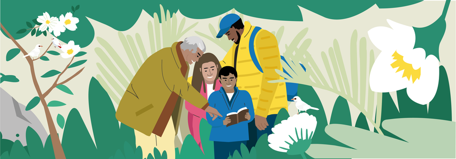 What is the sandwich generation?