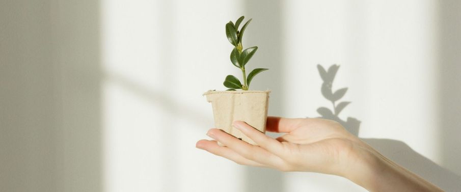 Greenwashing: what is it and how is it preventing businesses from making a real difference to our planet?