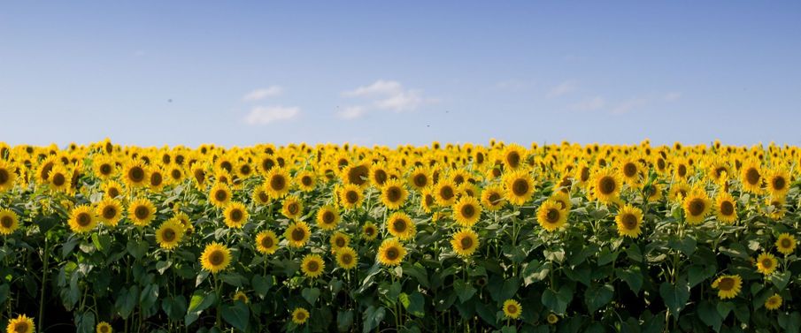 Grace Victory shares 4 simple ways to find a moment for mindfulness in your daily routine