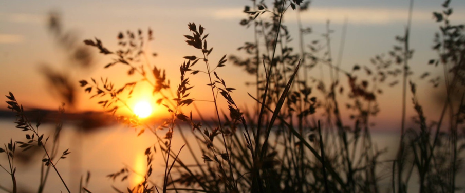 Project Soothe: the global photography project helping to induce a calm mind