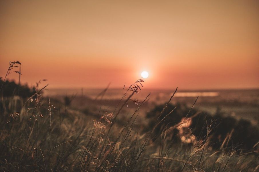 Michelle Elman on how to relieve the unfair burden of ‘survivor’s guilt’