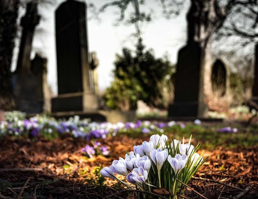 Cemeteries: Could they become a place where life and death exist in harmony?