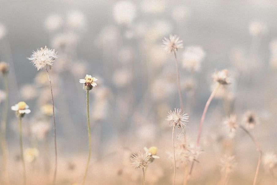 The silent struggle with the trauma of stillbirth