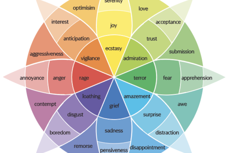 5 ways to use the feelings wheel