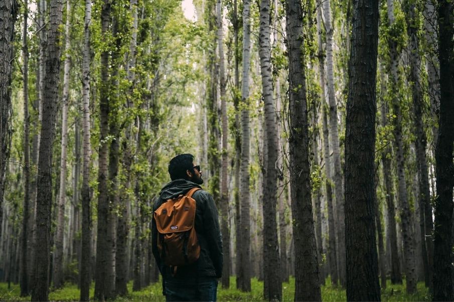 Life transitions: How to stop rushing to the next stage