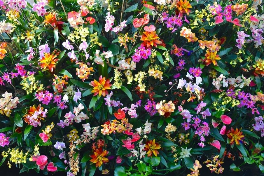 10 wellbeing recommendations to try in May