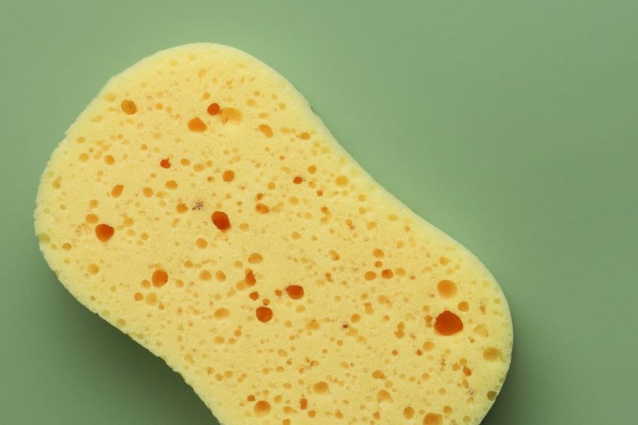 The sponge city evolution