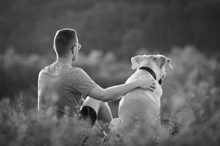 How to support someone who has lost a beloved pet