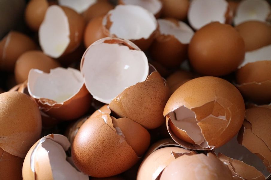 Were you raised with ‘eggshell parenting’?