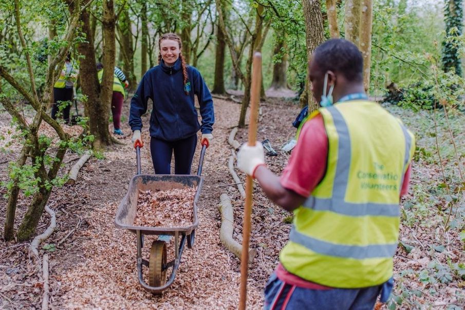 Community corner: Meet the green-fingered group making local spaces bloom