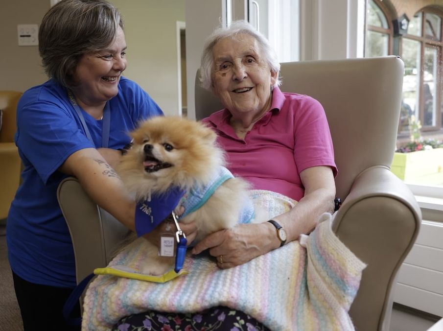 Community Corner: The furry friends spreading smiles across the UK