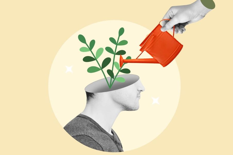 Why you should invest in your brain wealth, and how to do it