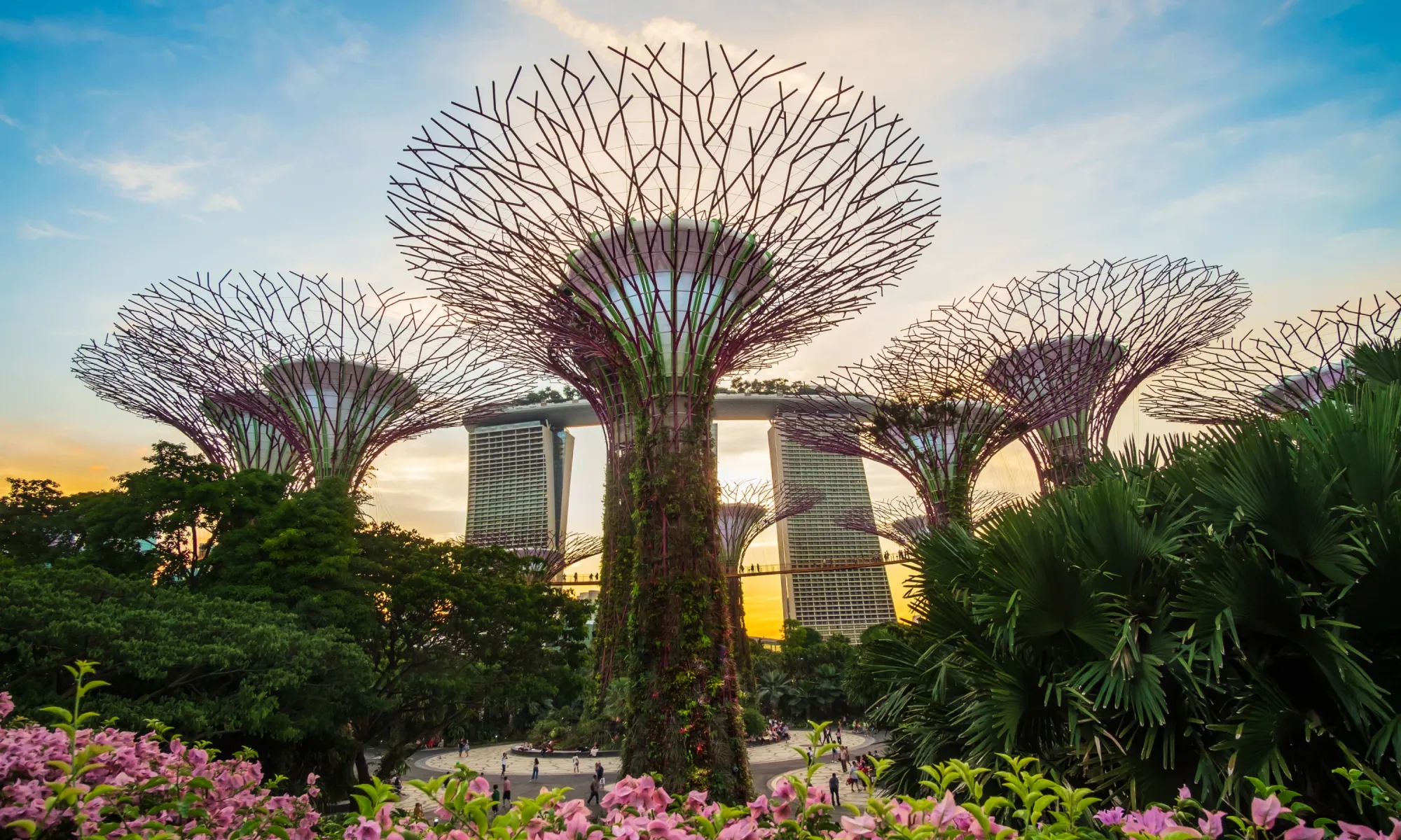 Supertree Grove at Gardens by the Bay in Singapore, with Marina Bay Sands in the background at sunset.