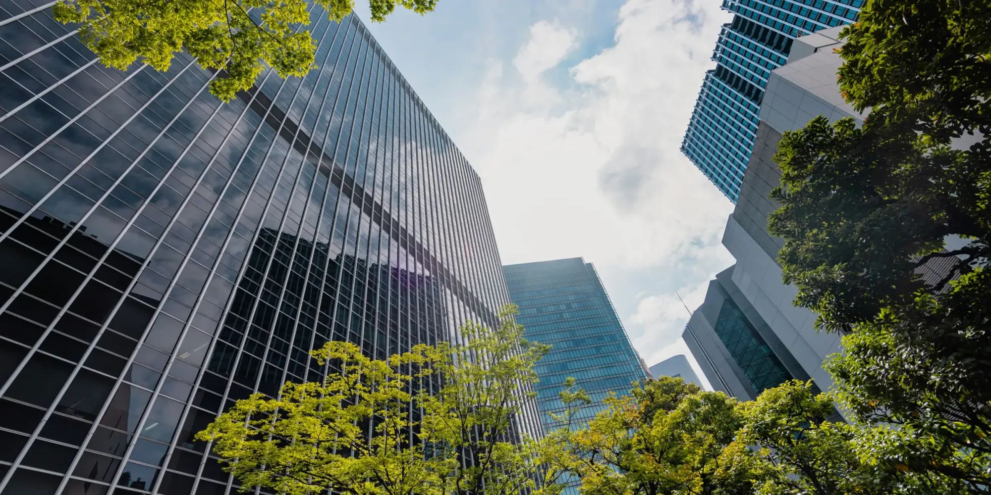 Modern office skyscrapers rising above green trees, blending urban and natural elements.