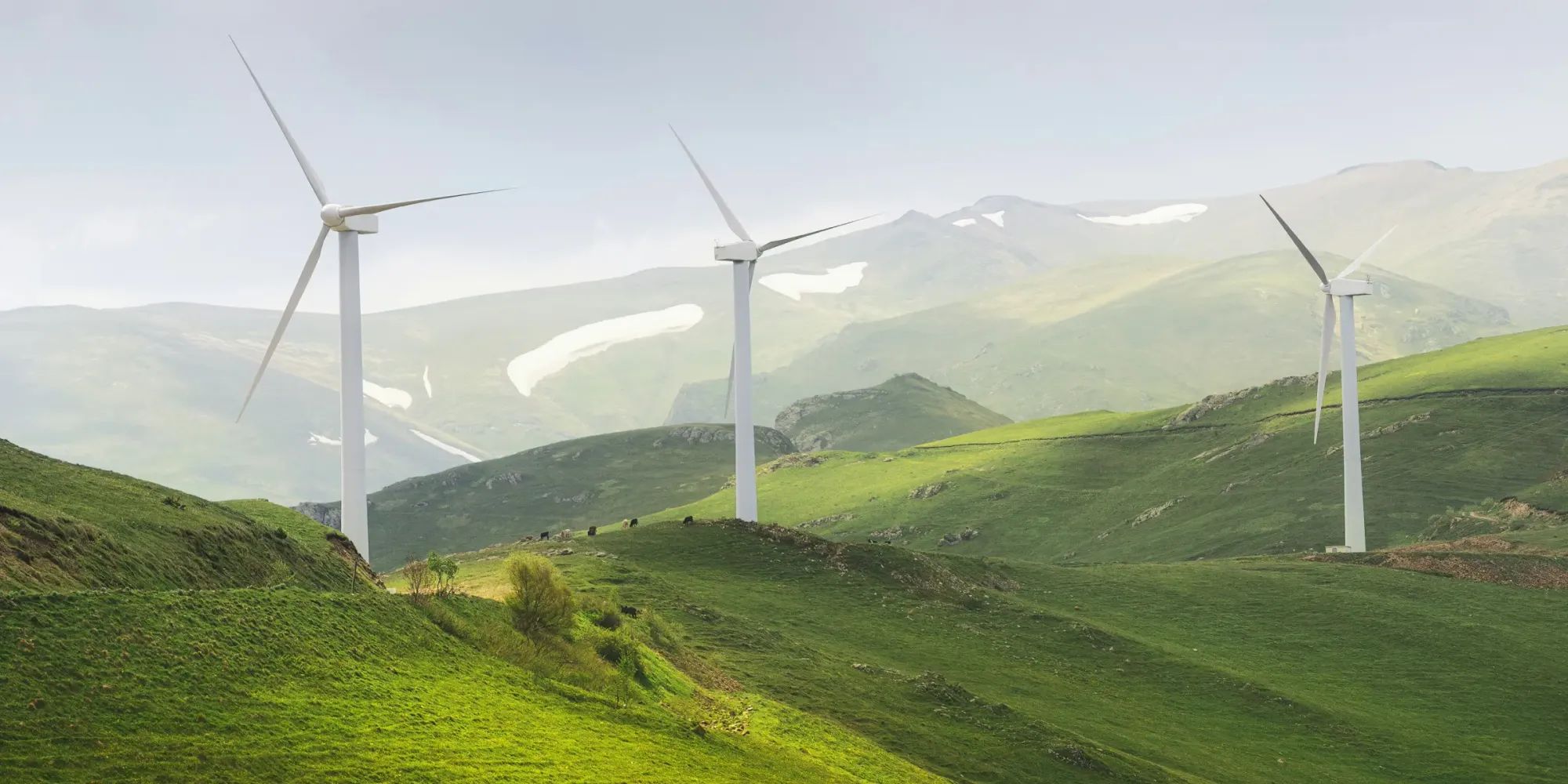 RWA Tokenization in the Energy Sector: Trends + Outlook 2026