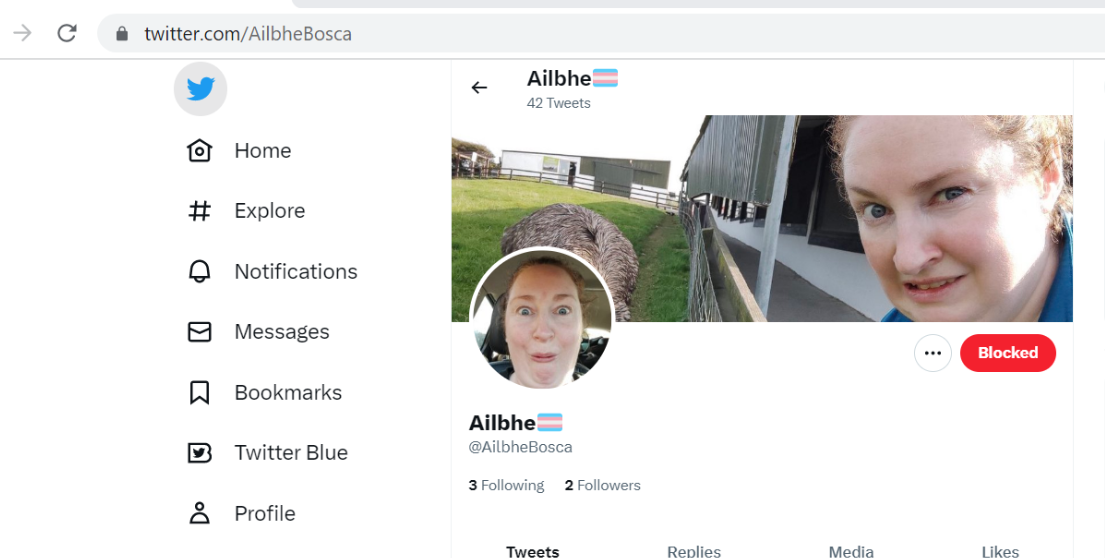 A screenshot of a social media account

Description automatically generated